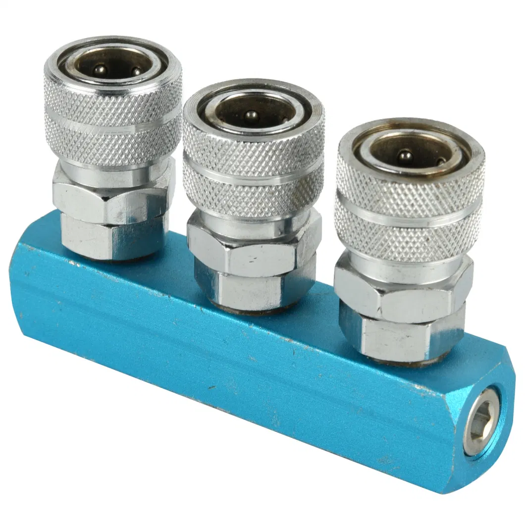 Stainless Steel Pneumatic Quick Coupler