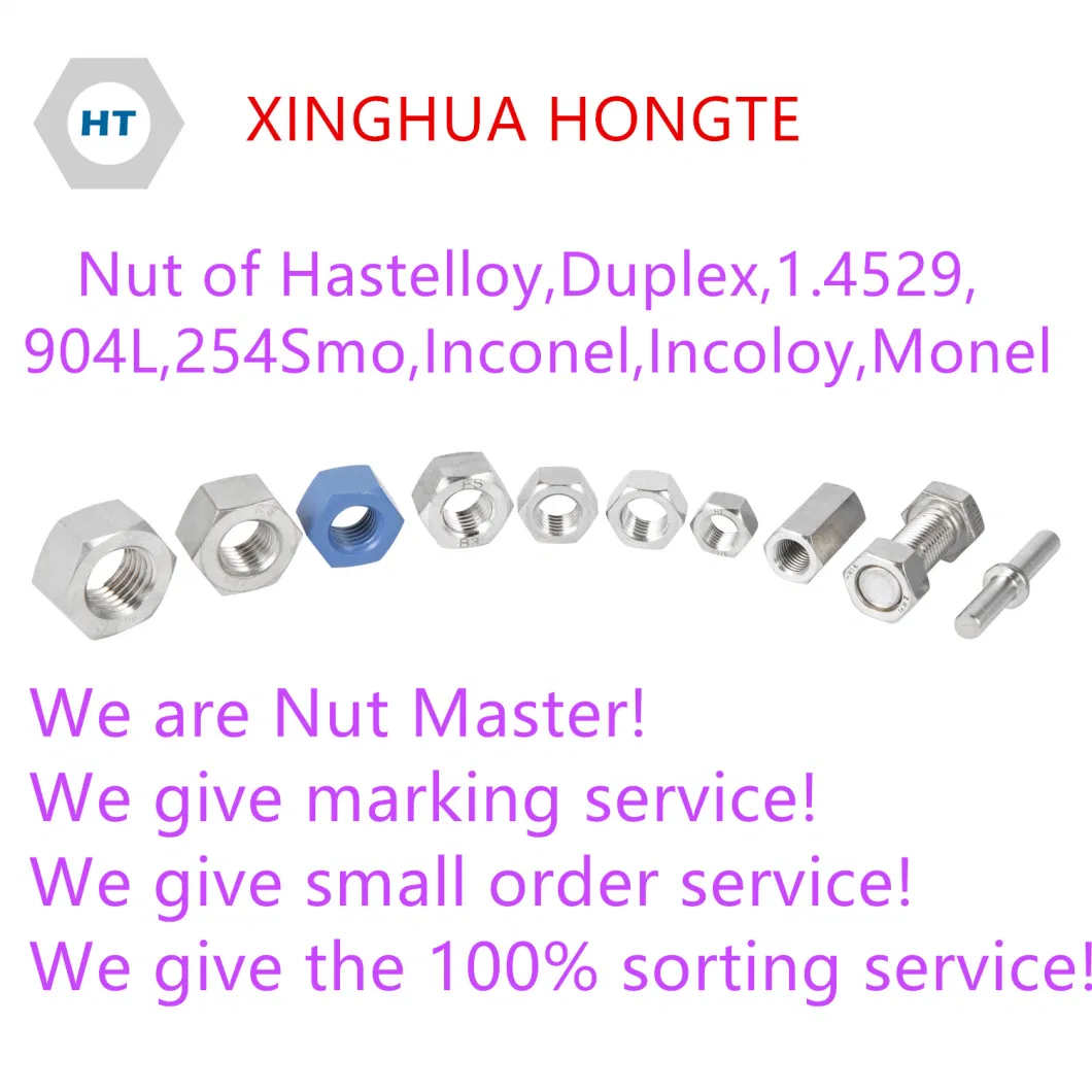 Duplex Hex Nut, PAL Nut, Flange Nut, Heavy Hex Nut, Hex Cap Nut, Round Nut, Slotted Nut, Hastelloy Nut, Inconel Nut, Incoloy Nut, 1.4529 Nut
